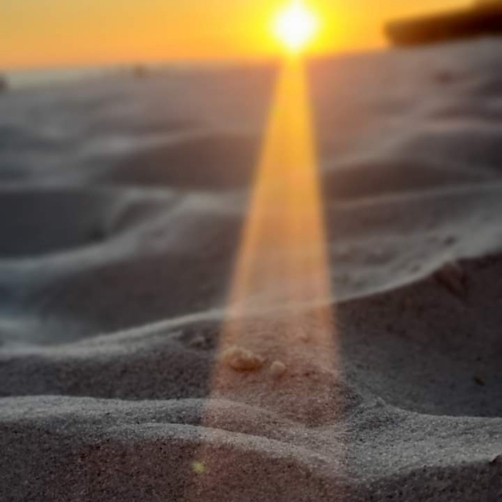 Meet your Posher, Gail